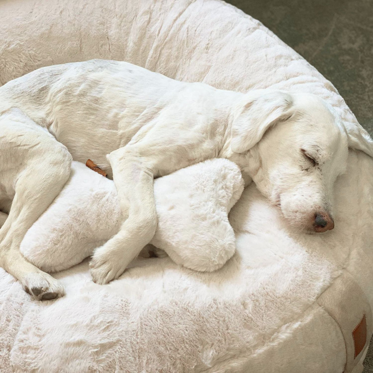 Weißer Hund schläft im weißen Hyggebed mit dem farblich passenden Knochenkissen Ivory