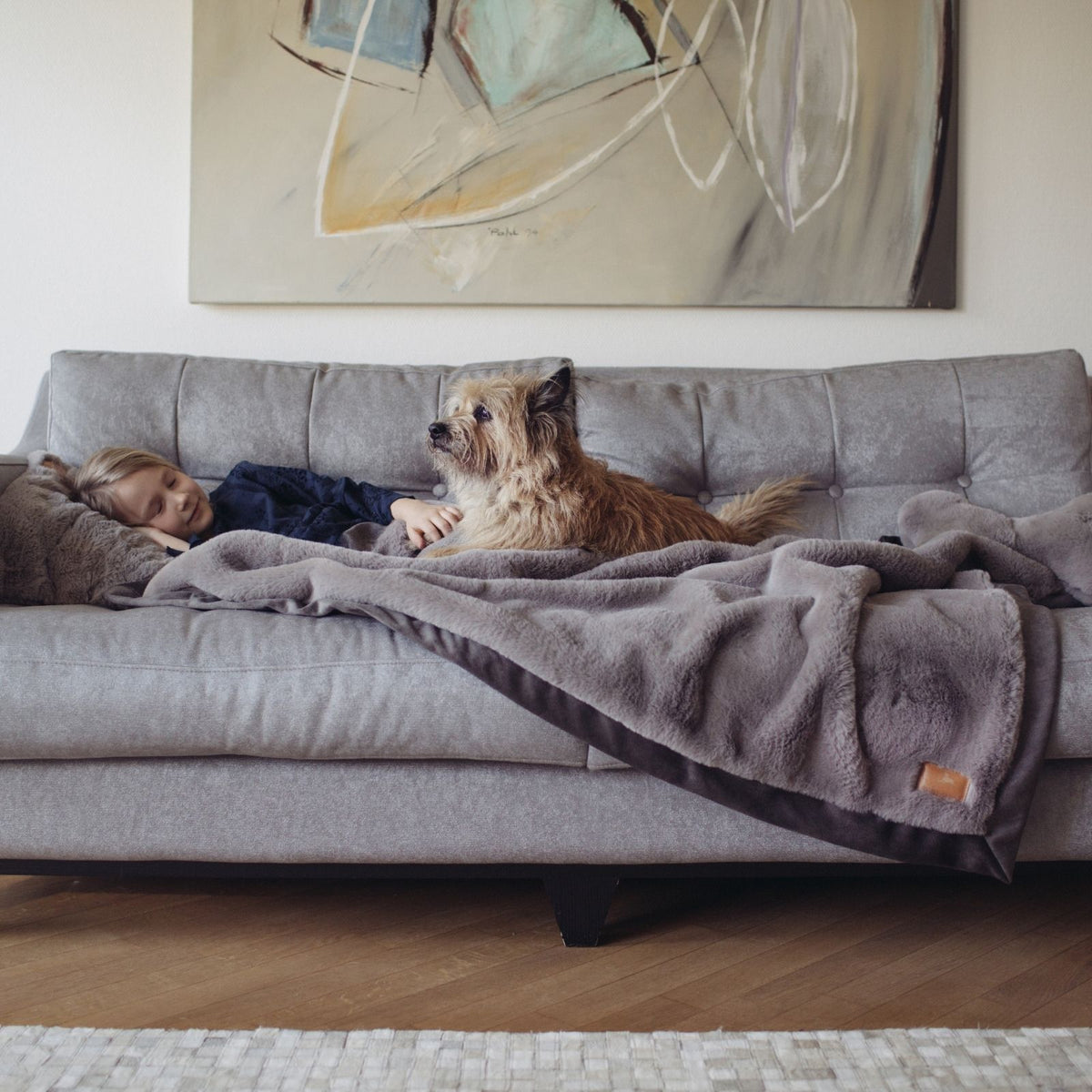 Border Terrier liegt auf der grauen Hyggeplaid Hundedecke in Stone auf einem Sofa