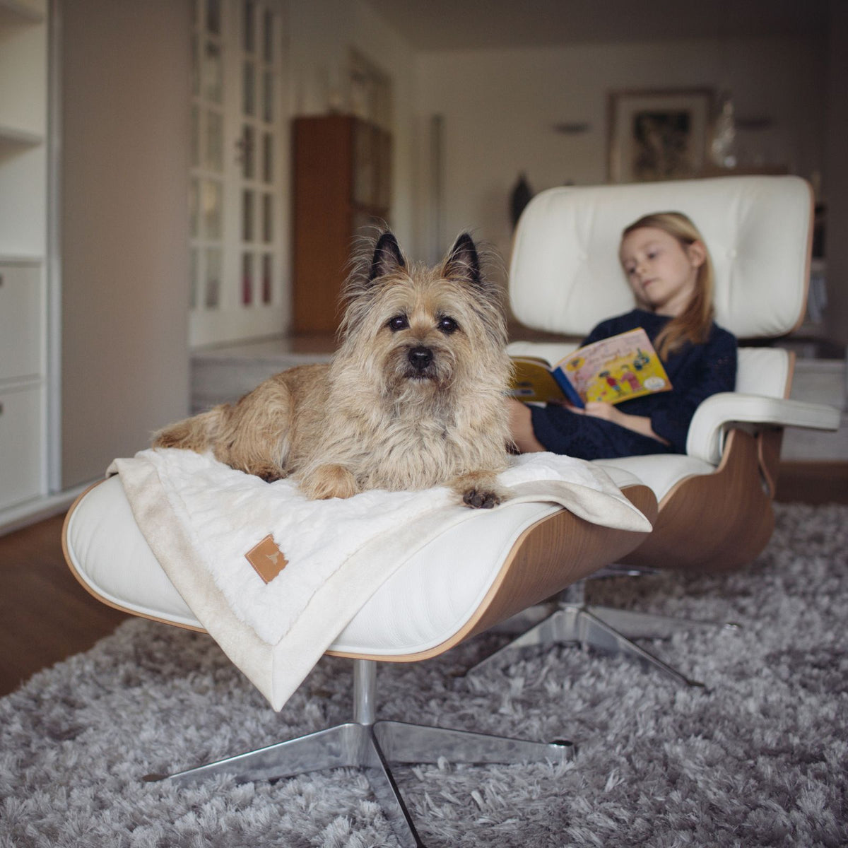 Hund liegt entspannt auf der Fußstütze eines Design-Sessels auf der cremeweißen Hyggeplaid Hundedecke Ivory