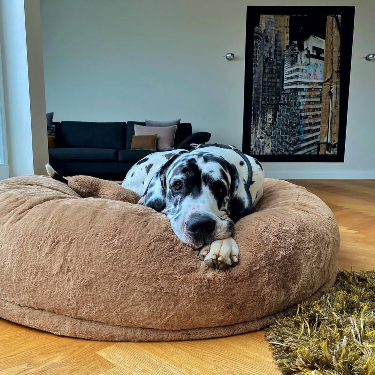 Hyggebed® – Het orthopedische hondenbed Maroon