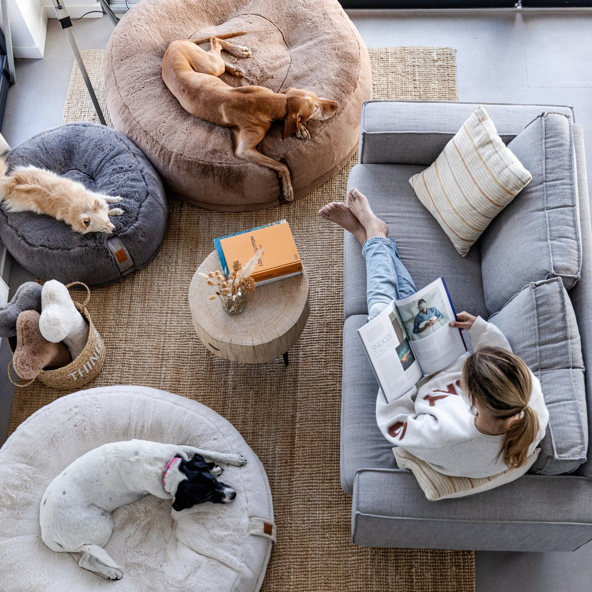 Drei Hunde schlafen in orthopädischen Hyggebeds in den Farben Stone, Ivory und Maroon im modern eingerichteten Wohnzimmer